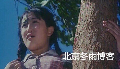 x14qع 黨p냺