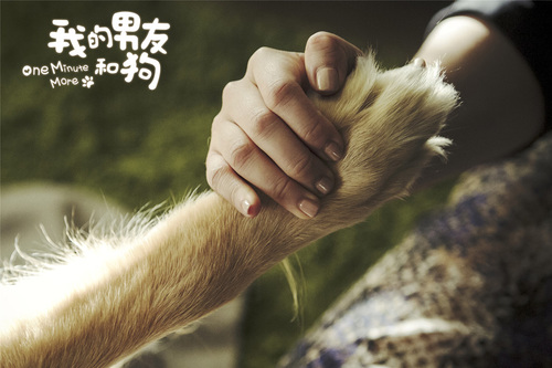 ҵѺ͹޳ɹ pu^Ӱᳱ